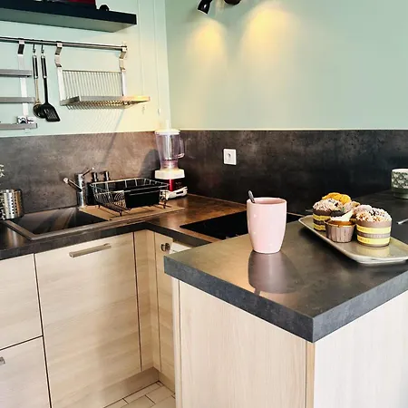 Le Santa Maria- Appartement Une Chambre Avec Jardin Et Parking Le Grau-du-Roi Exterior foto